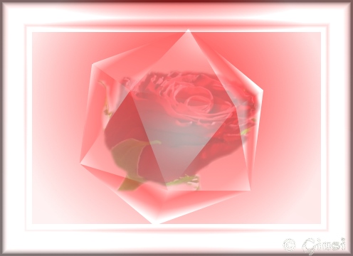 rose im kristall
