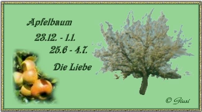 Apfelbaum 23.12. - 01.01. 25.06. - 04.07