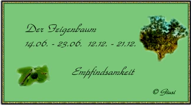 Feigenbaum 14.06. - 23.06. 12.12. - 21.12