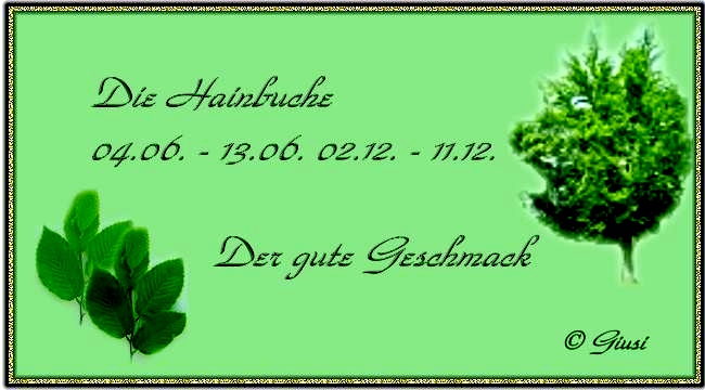 Hainbuche 04.06. - 13.06. 02.12. - 11.12