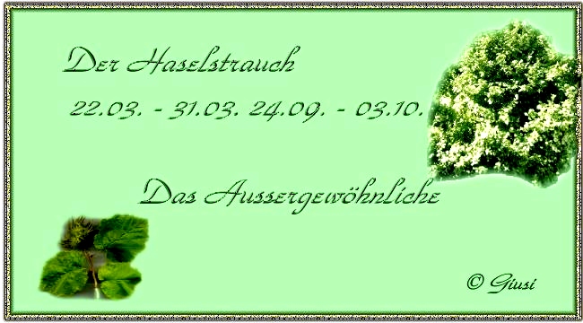 Haselstrauch 22.03. - 31.03. 24.09. - 03.10