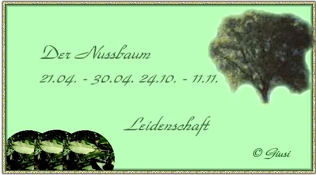 Nussbaum 21.04. - 30.04. 24.10. - 11.11