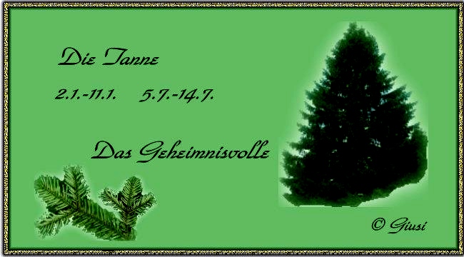 Tanne 02.01. - 11.01. 05.07. - 14.07