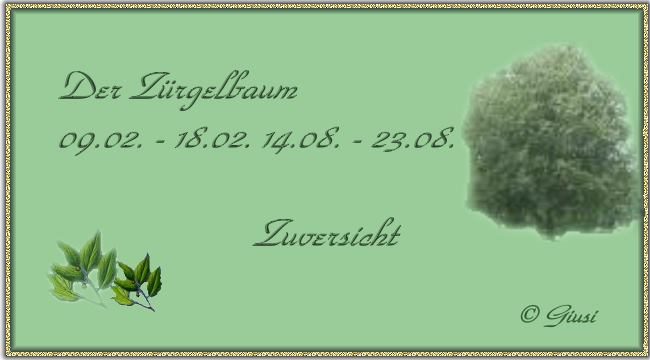 Zürgelbaum 09.02. - 18.02. 14.08. - 23.08